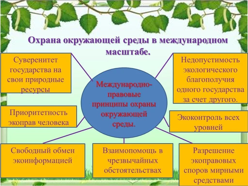 Охрана окружающей среды презентация. Мероприятия по охране природы. Меры по защите окружающей среды. Принципы охраны окружающей среды.