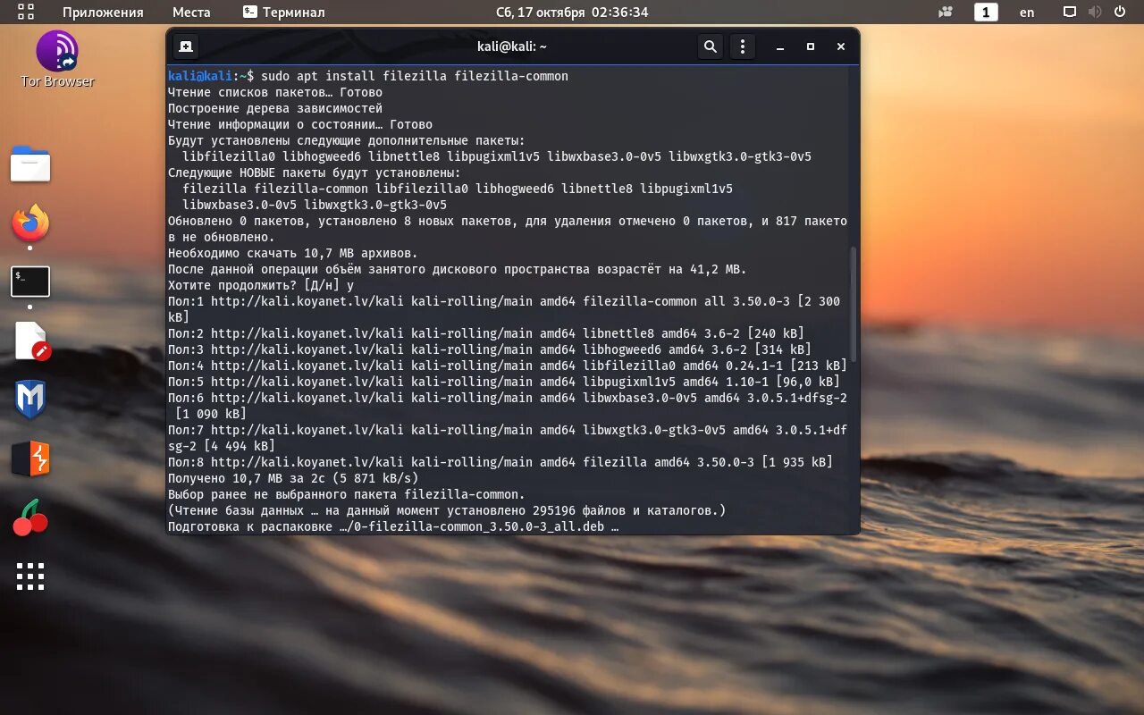 Приложения для Кали линукс. Установка Кали линукс. Kali Linux Mint. Настройка kali Linux после установки.