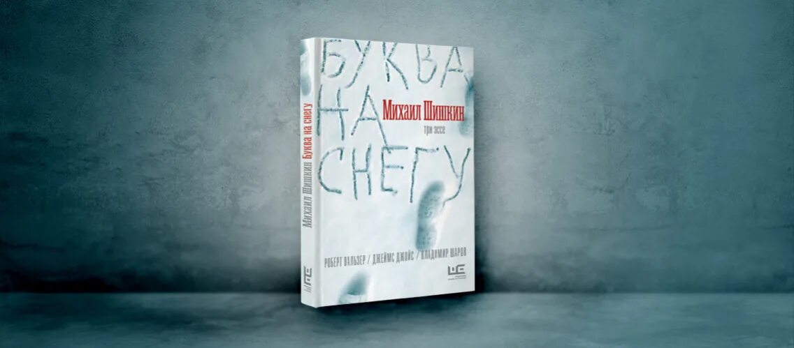 Шишкин новая книга. Шишкин м. "буква на снегу". Анализ произведение Шишкин буква на снегу. Альфа код купить книгу