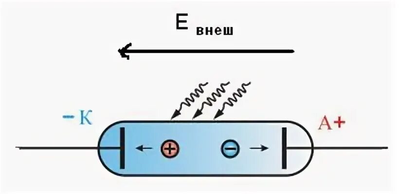 Незаряженное электрическое тело внесено в электрическое поле. M положительным n отрицательным. Умножение 2 отрицательных чисел правило. M положительным n отрицательным. Математические действия с положительными и отрицательными числами.