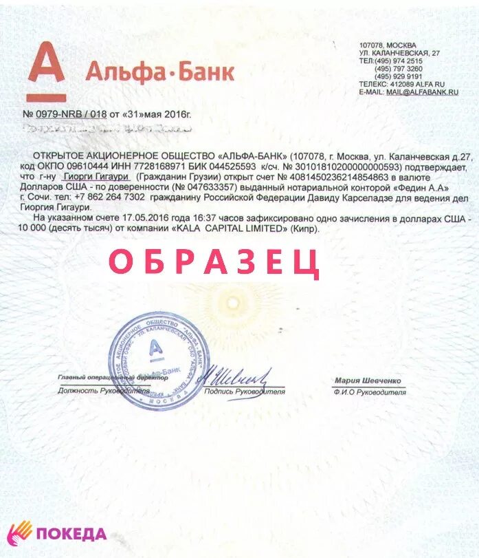 Выписка по закрытым счетам альфа банк. Альфа банк печать. выписка из банка альфа банк.