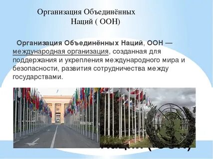 Проекты оон