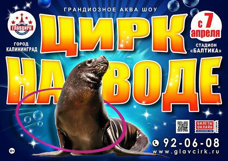 Цирк на воде владивосток 2025 афиша. Цирк калининград. цирк калининград афиша. цирк в калининграде 2025. цирк розовый слон.