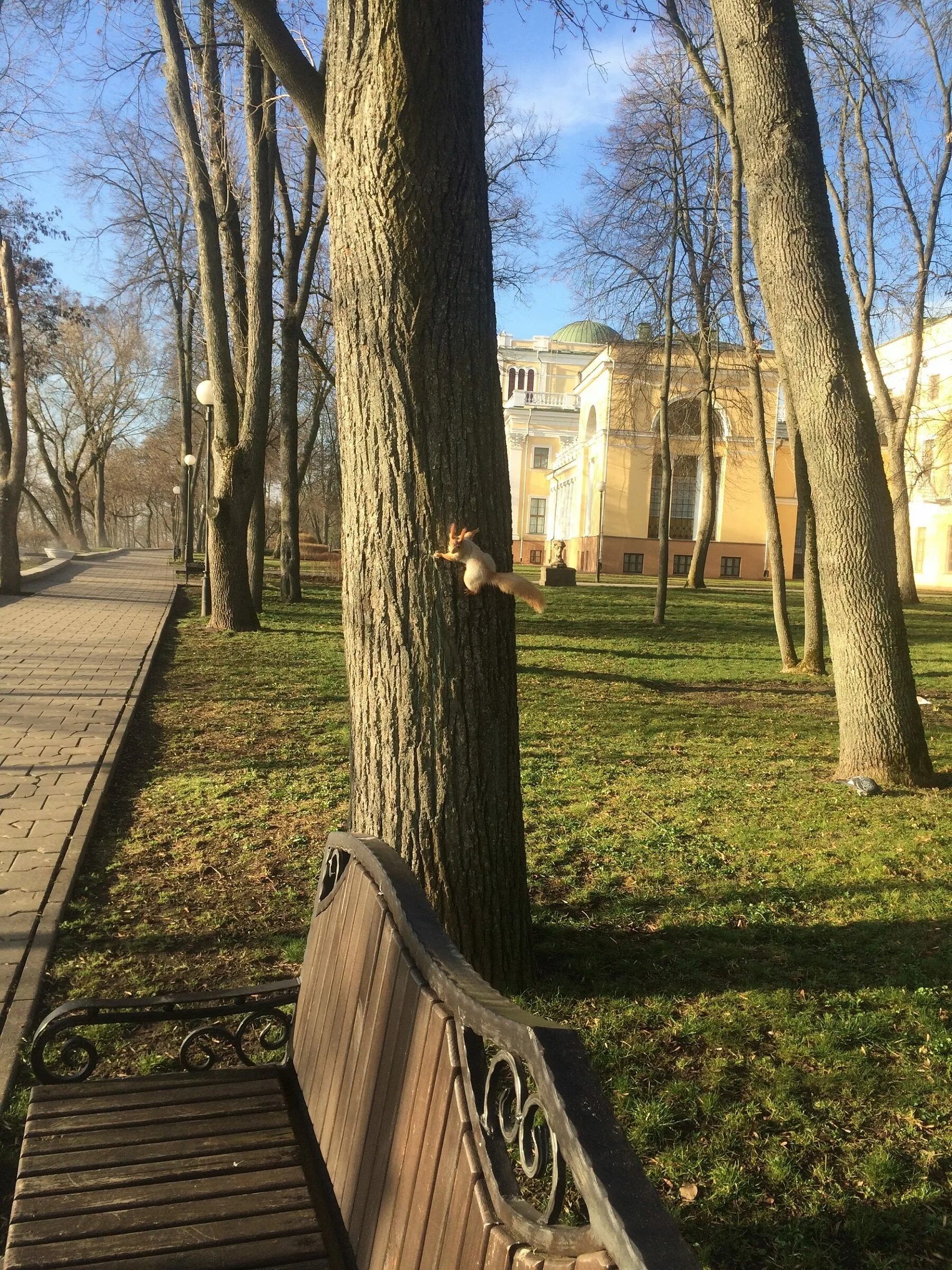 Улица паскевича. Гомель парк паскевичей. гомель парк румянцева и паскевича. дворцово-парковый ансамбль румянцевых-паскевичей в гомеле. гомель парк румянцева и паскевича фото.