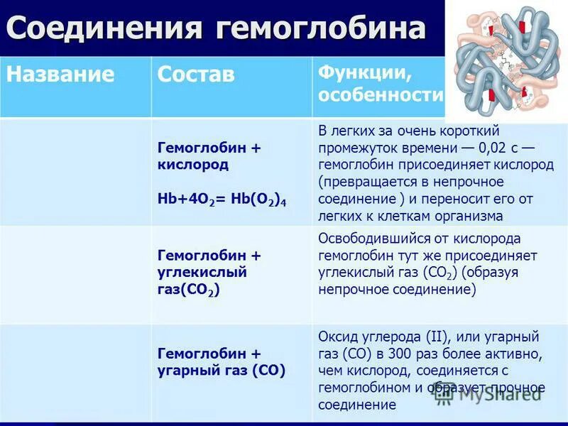 Соединение гемоглобина с кислородом называется ответ. Гемоглобин присоединяет к себе. Соединение гемоглобина с кислородом. Соединение гемоглобина с угарным газом. Соединение гемоглобина с кислородом называется ответ.