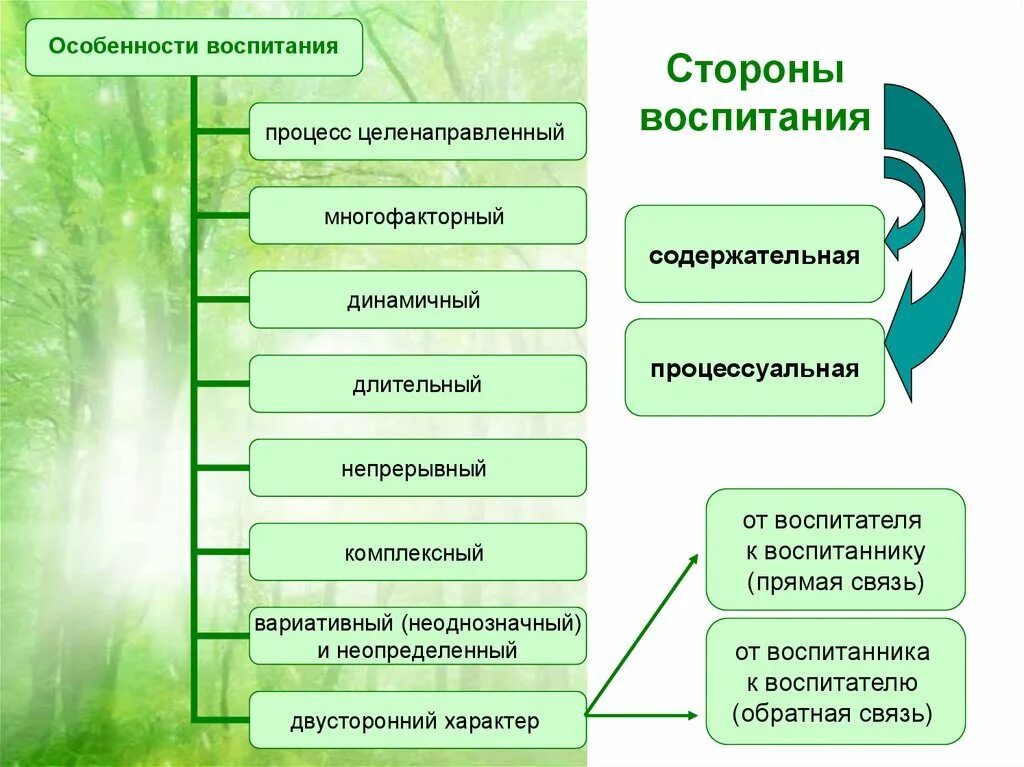 Характеристики средств воспитания. Особенности процесса воспитания. Особенности воспитательного процесса. Специфика воспитания в педагогике. Специфика процесса воспитания.