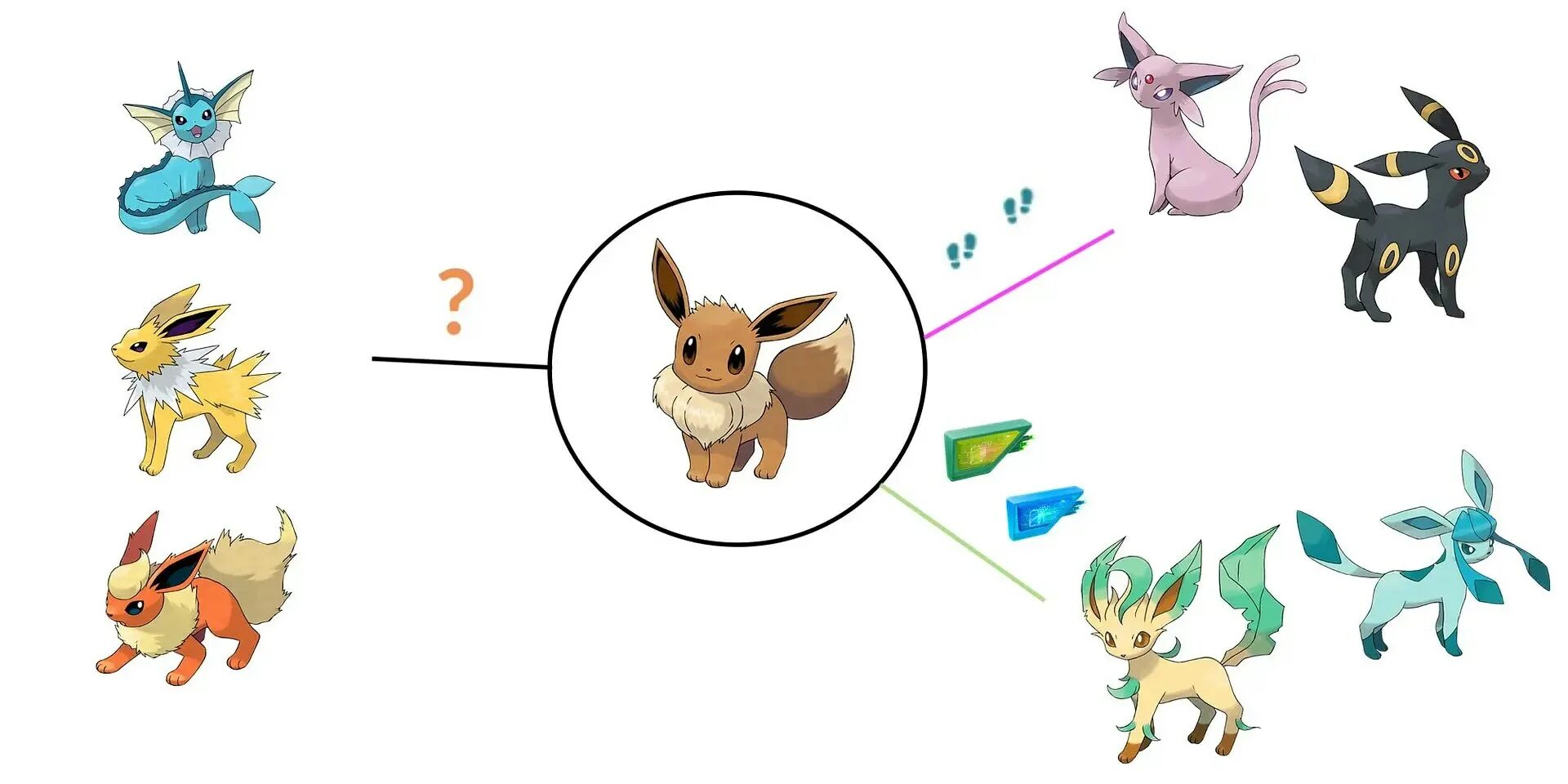 Чисел покемон. Eevee pokemon стихии. шайни иви эволюции. шайни эволюция. покемоны эволюция пикачу.