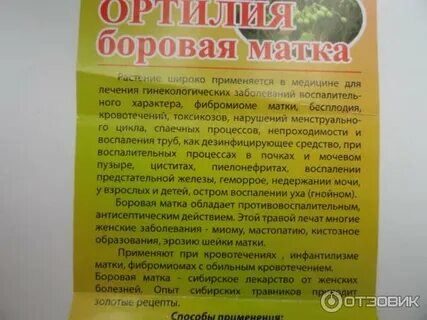 Травы для остановки кровотечения