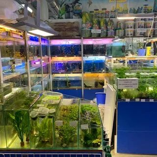 Аквариумные рынки
