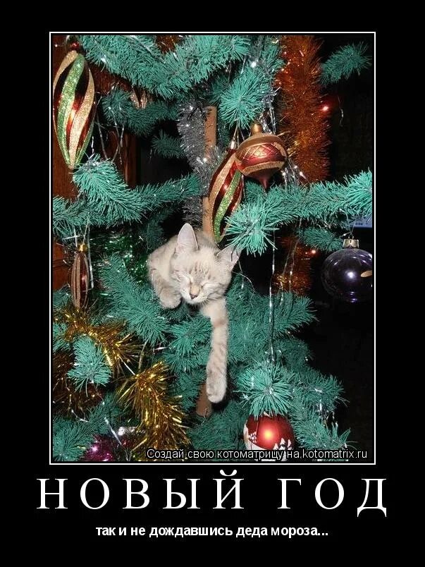 дождись лета и посмотри что будет роман михайлов. жду любимого солдата. дождаться год. надо к этому идти. дождались лета мем.