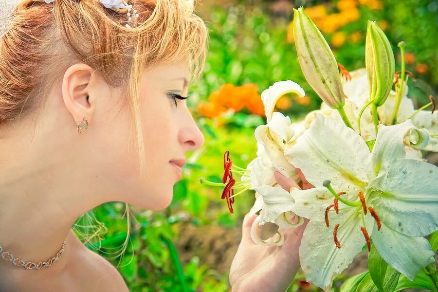 здравствуй 5 класс надпись. смешные сфинксы.