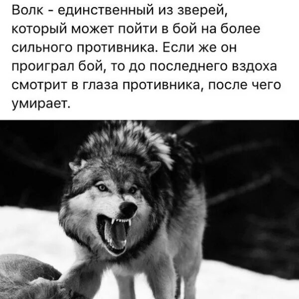 Особая жестокость это