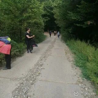Точно в северском районе