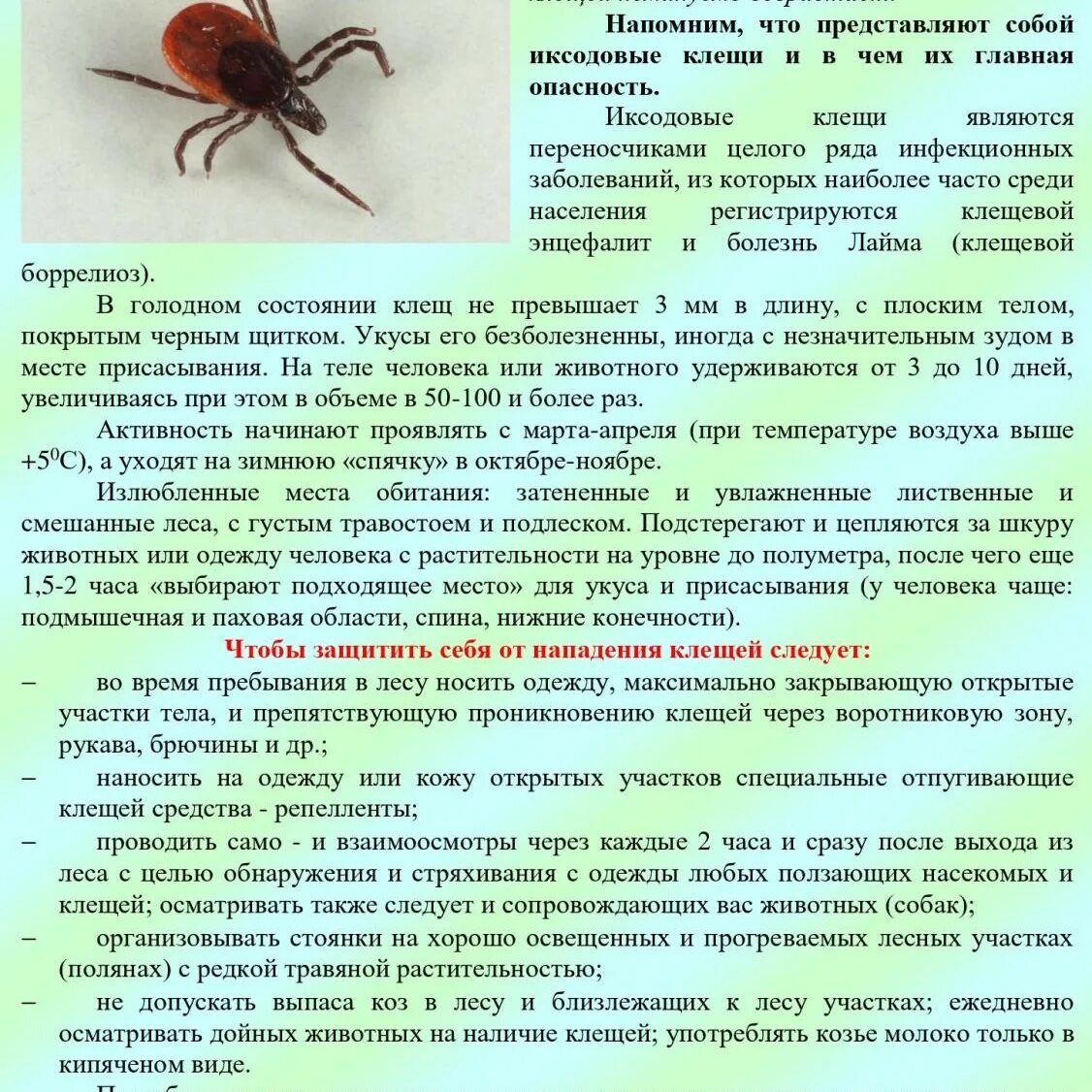 Болезни передающиеся через клещей. Памятка по клещевому. памятка про клещей. памятка от клеща. памятки по профилактике инфекций передающихся клещами.