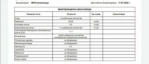 Enterobacteriaceae норма в мазке