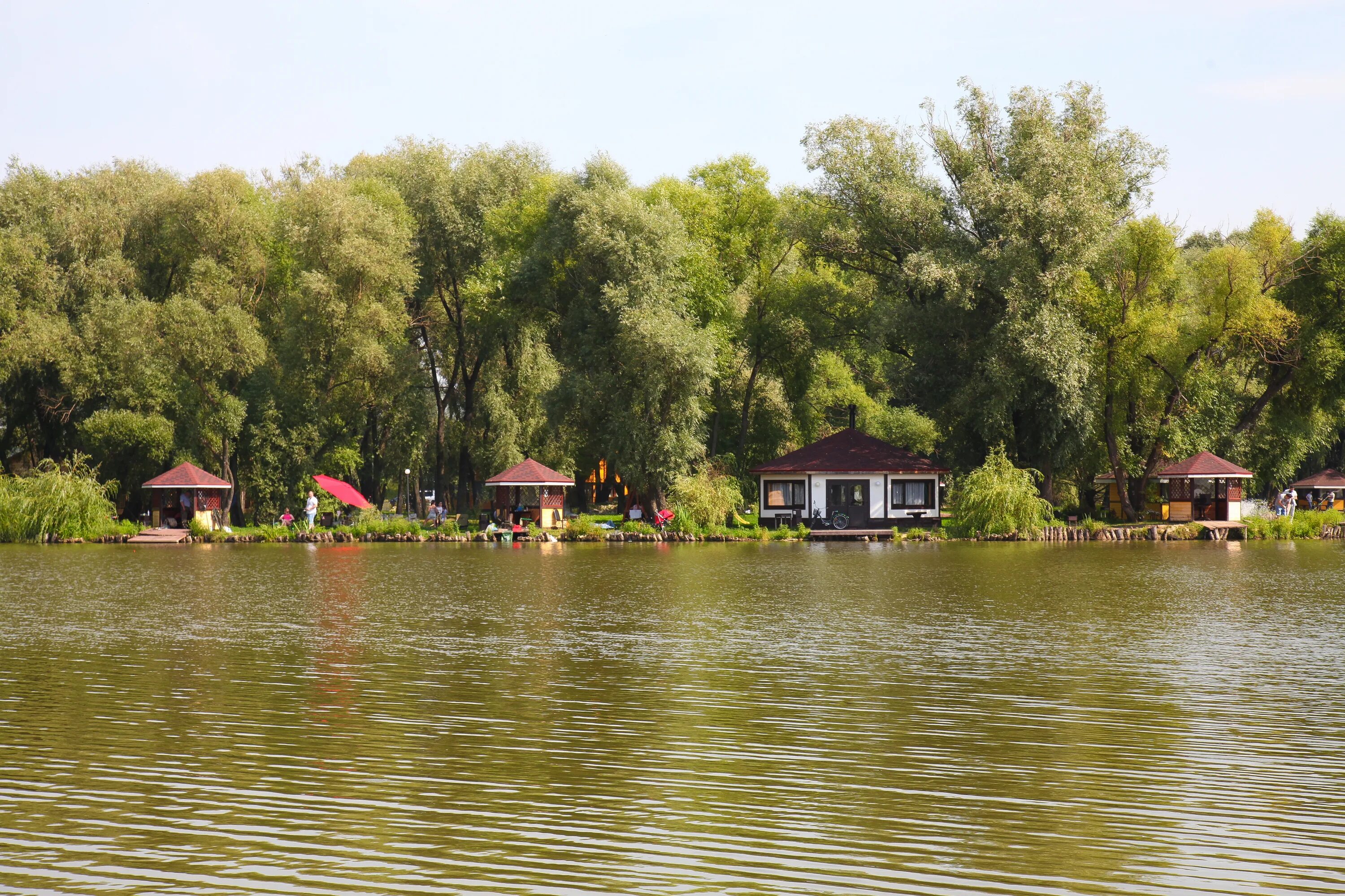 Парк усадьба остров