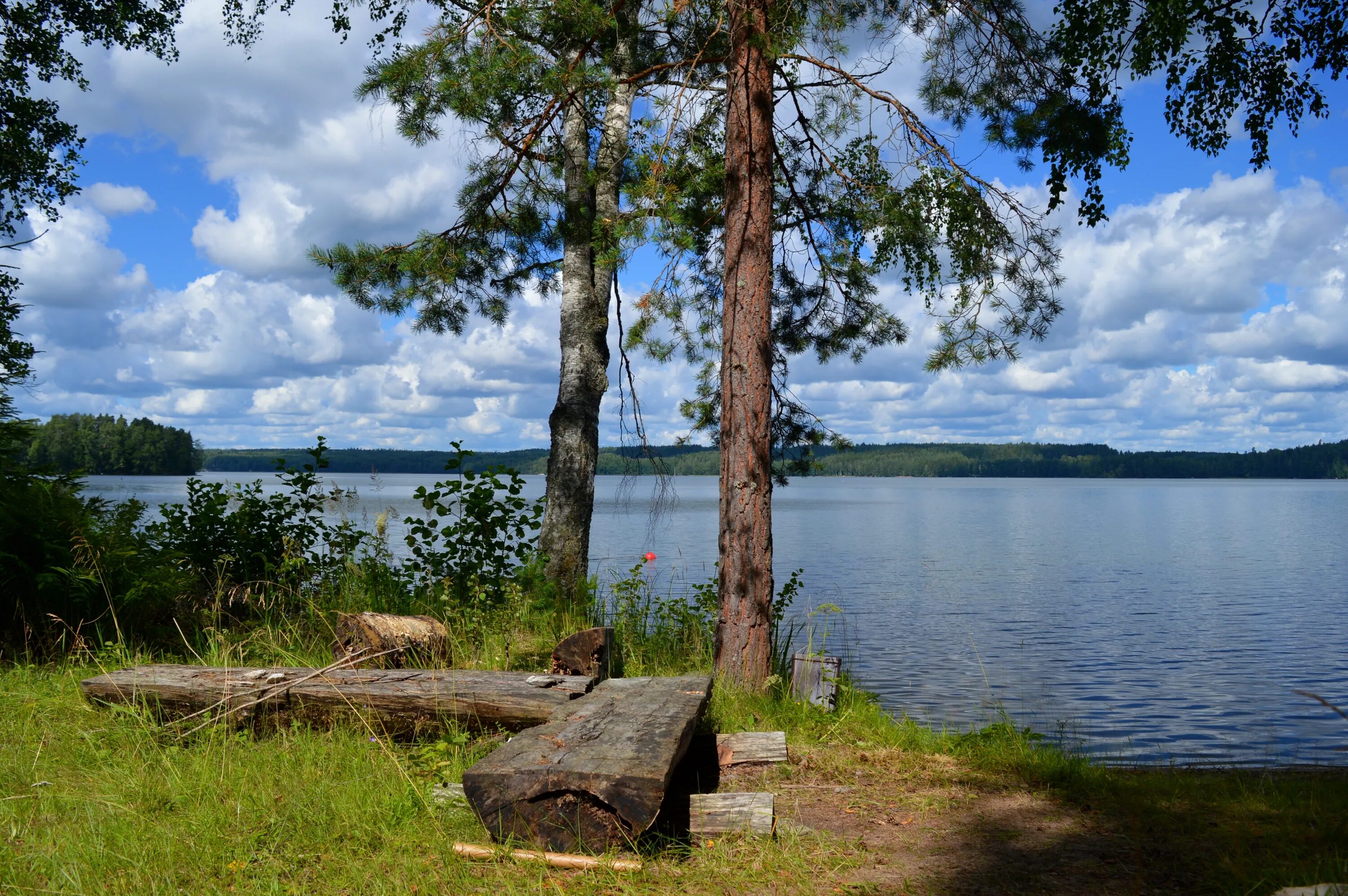 Кипень озеро пляж. Берег озера. Пляж на озере. На берегу озера. Фильму берегу озера