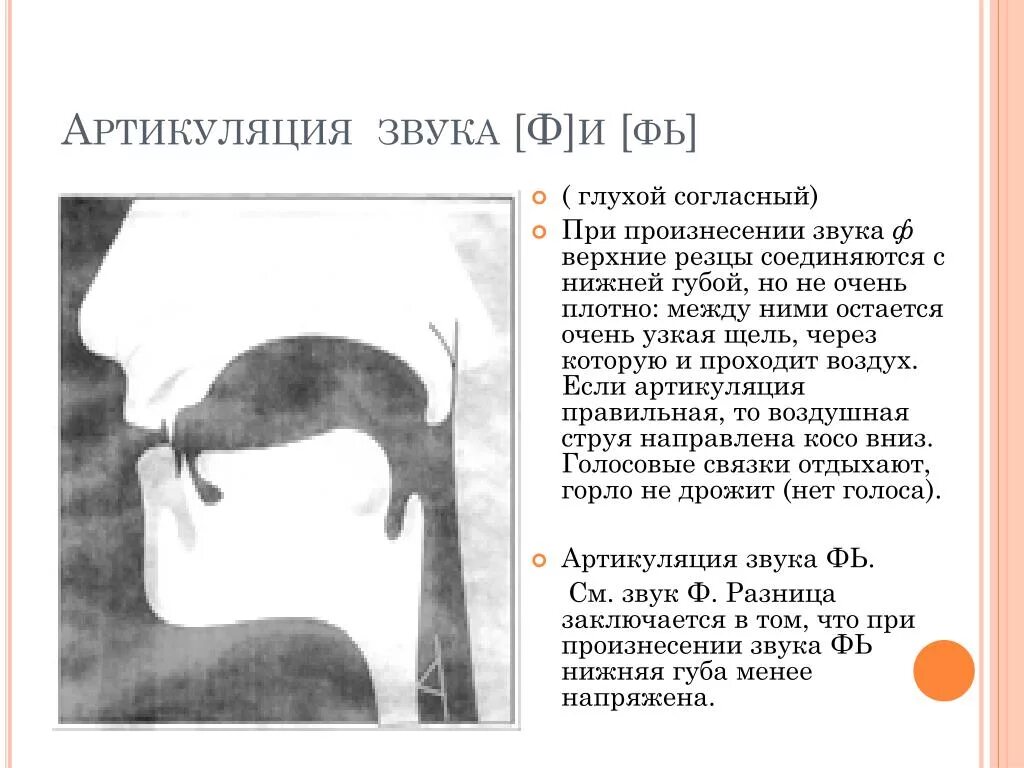 Буквам артикуляция. Артикуляция звука ф и фь. Профиль артикуляции звука ф. Артикуляционный уклад звука ф. Звук ф артикуляция звука.