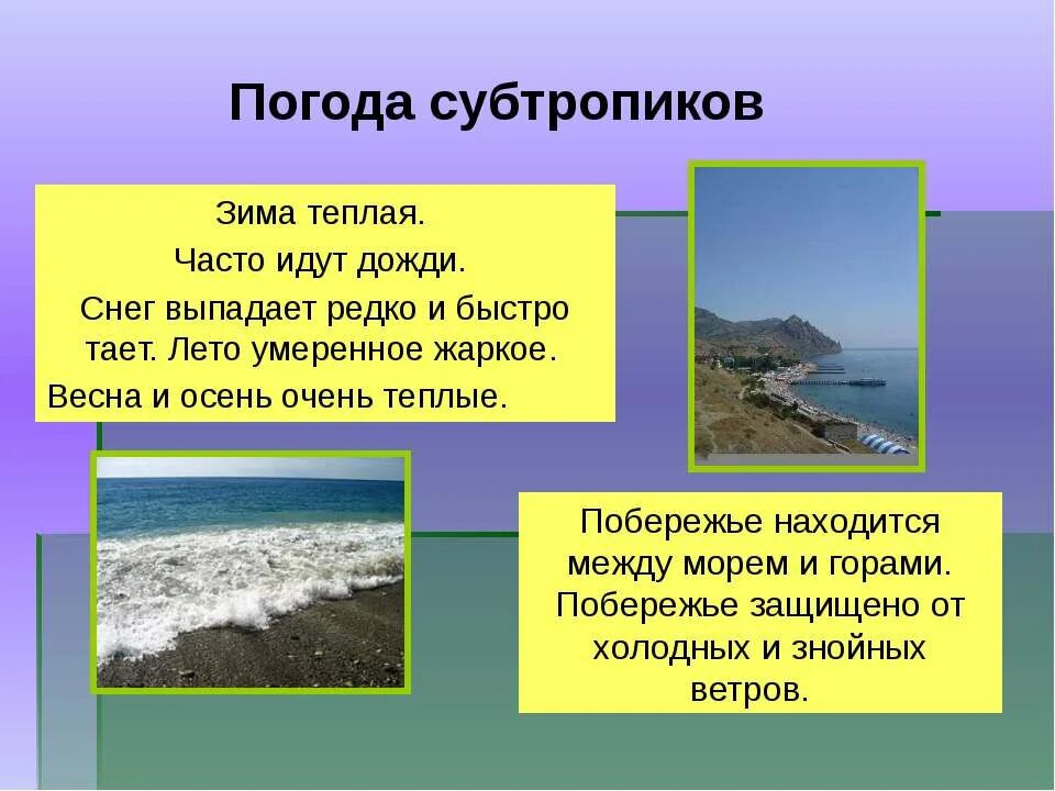 климат зоны тундры в россии. зона тундры протянулась. тундра природная зона. пустыни и полупустыни южной америки на карте. зона расположена вдоль побережья морей.