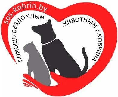 Рука помощи помощь животным