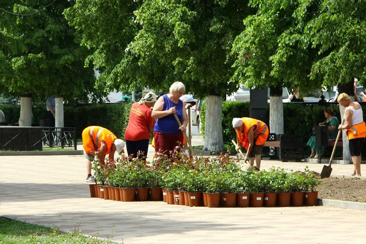 Мбу дирекция. МБУ ДБГ Рязань. Дирекция благоустройства города Рязань. МБУ благоустройства Рыбное Рязанской области.