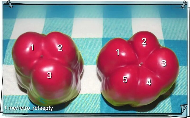 Перец мальчик или девочка. Перец мальчик и девочки как определить. Перец болгарский женский и мужской. Болгарский перец мальчик или девочка. Болгарский перец девочки как отличить.