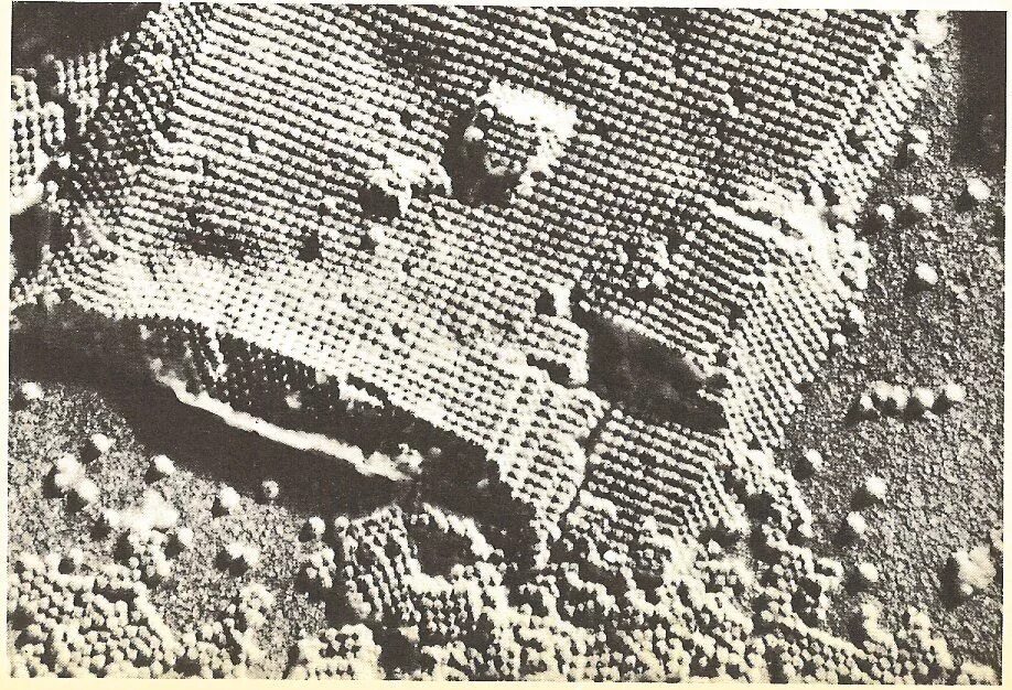 Электронная фотография. Снимок атома под микроскопом. Атом под электронным микроскопом. Атом в электронном микроскопе. Атомы золота под электронным микроскопом.
