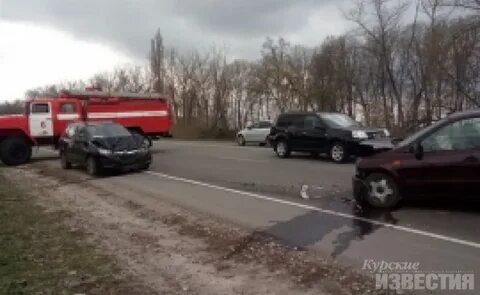 Цветова курск