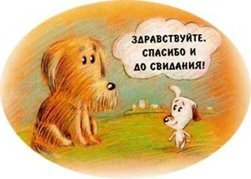 Здравствуйте ты кто такой. Здравствуйте спасибо. здравствуйте досвидание. спасибо до свидания. здравствуйте дасыданя.