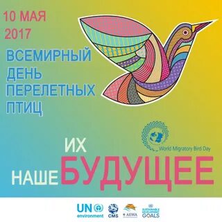 День мигрирующих птиц 2024