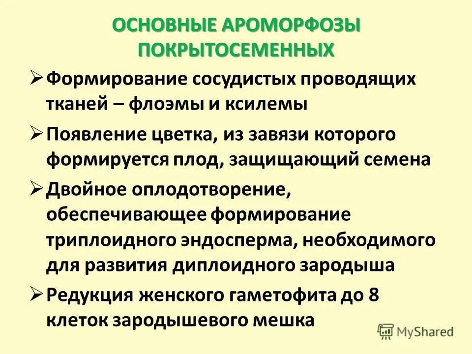 Усложнение организации покрытосеменных