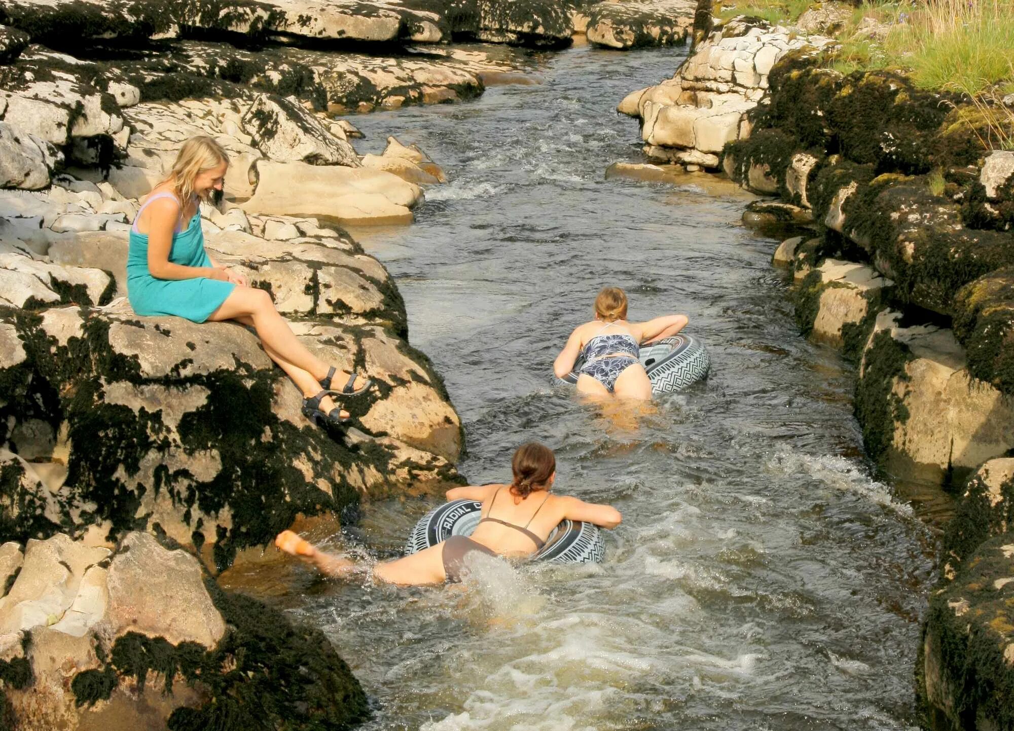 Плавать в реке. Плавание в реке. Swimming на речке. Зимнее плавание в реке.