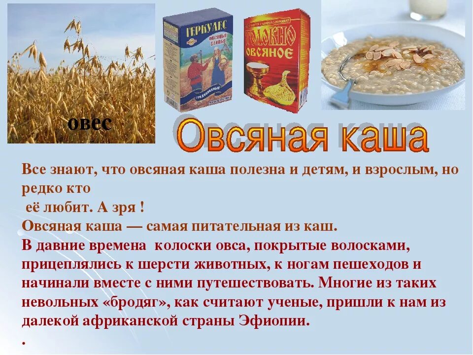 Можно ли есть овсяное. Овсянка польза. Овсянка для презентации. Чем полезна овсяная. Картинку о полезности овсяной каше.