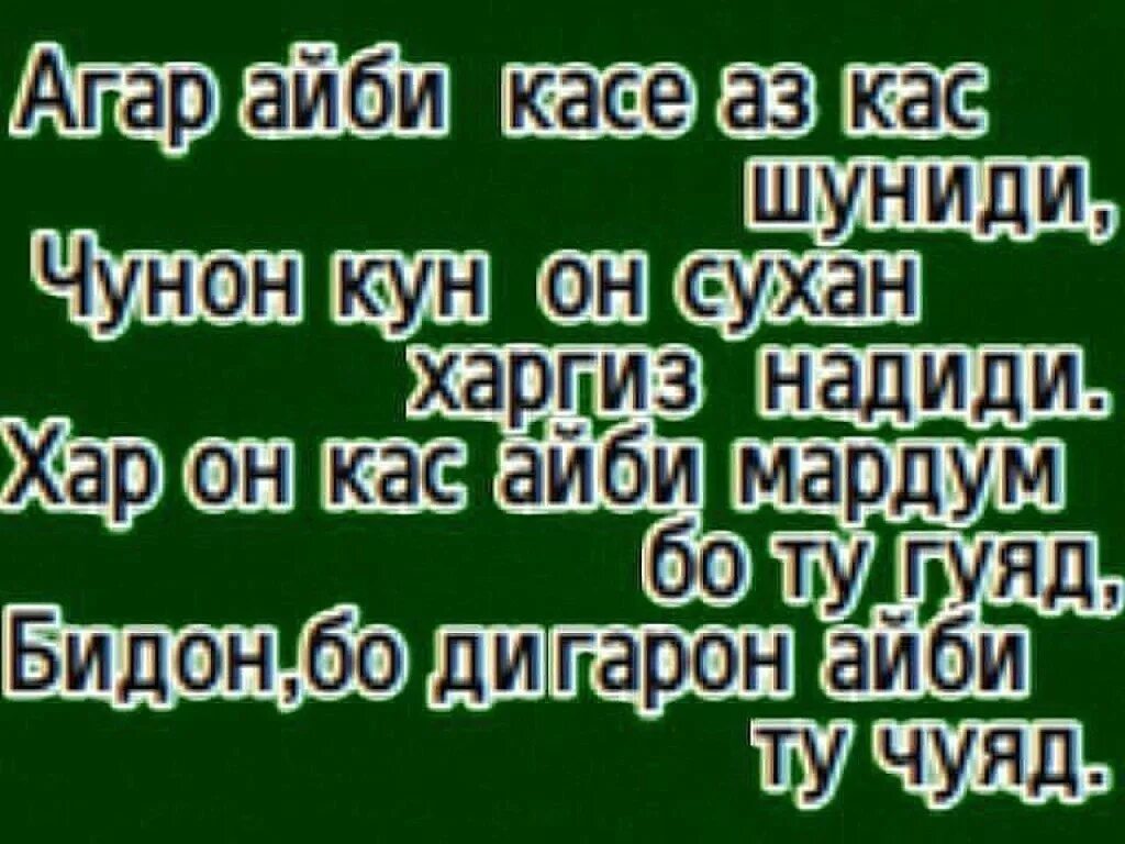 Шеър ба. Шеърхо. Кадри модар Шер. Картинки шеърхо.