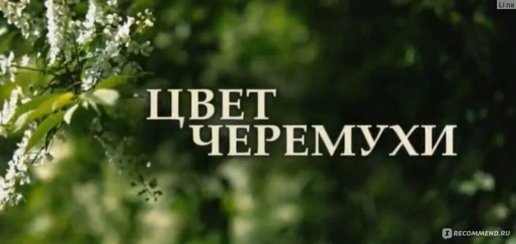 Цветет черемуха песня сумишевский