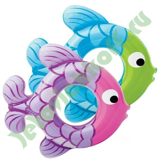 Круг рыбы. Надувной круг intex рыбка 59218. Надувной круг 77х76см рыбки от 3 до 6 лет. Круг рыбы. Круг рыбы.