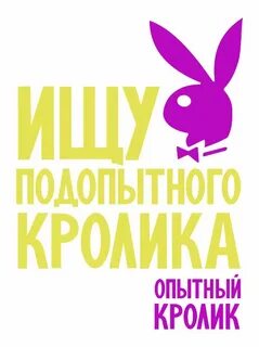 Ищу опытного