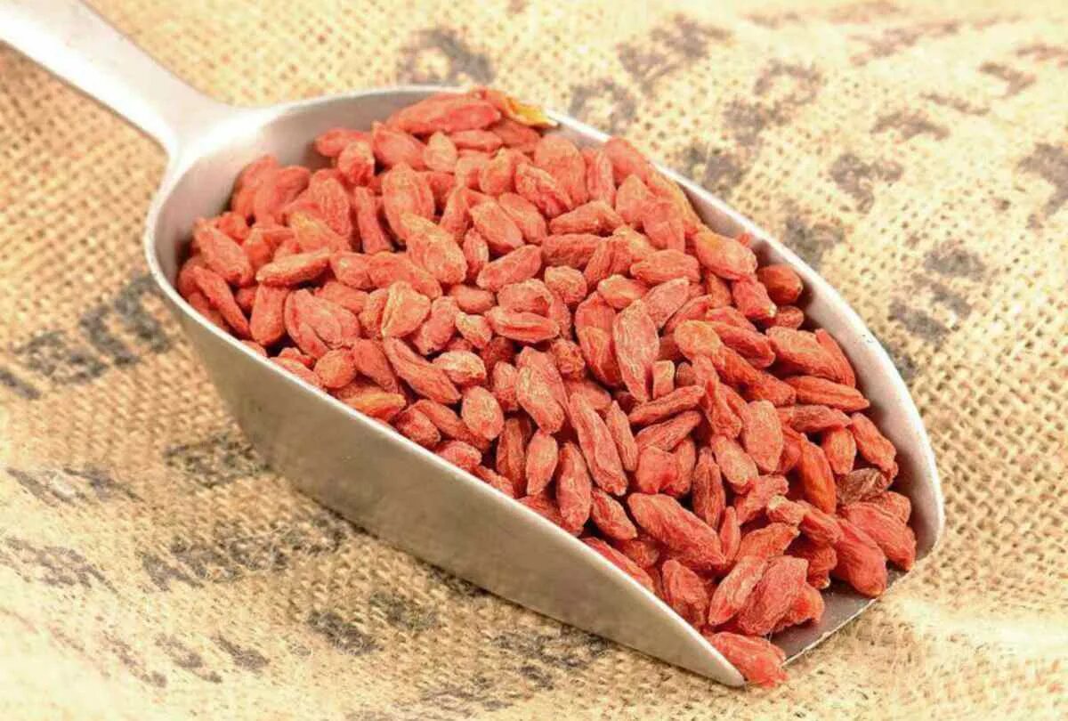 Каперсы колючие. Визбуха что это. Каперсы фото растения. Ягоды годжи на огороде. Ягоды годжи 200 г.