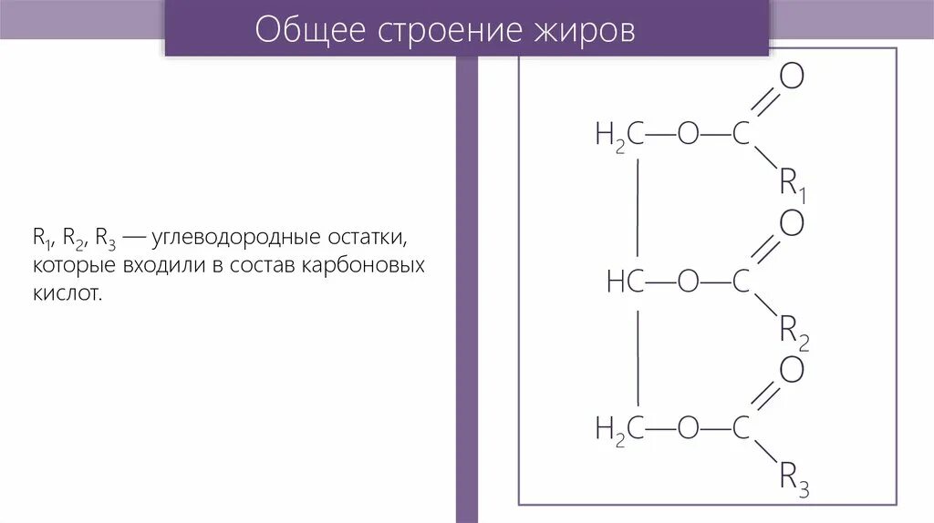 Какой остаток входит в состав жира. Жиры состав и строение. Жиры структура формула. Строение жиров общая формула. Структура молекул жиров.