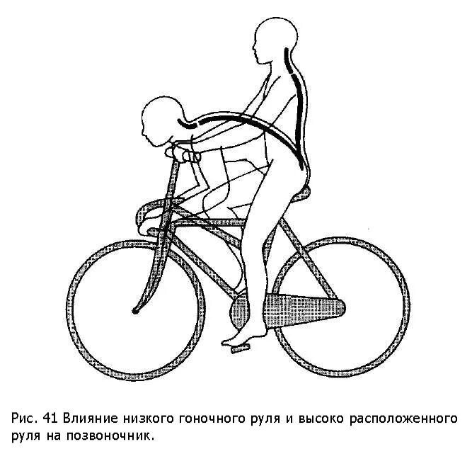 Катание на велосипеде какие мышцы. Правильная посадка на велосипеде. Высота руля на шоссейном велосипеде. Положение руля на велосипеде. Посадка на шоссейном велосипеде правильная схема.