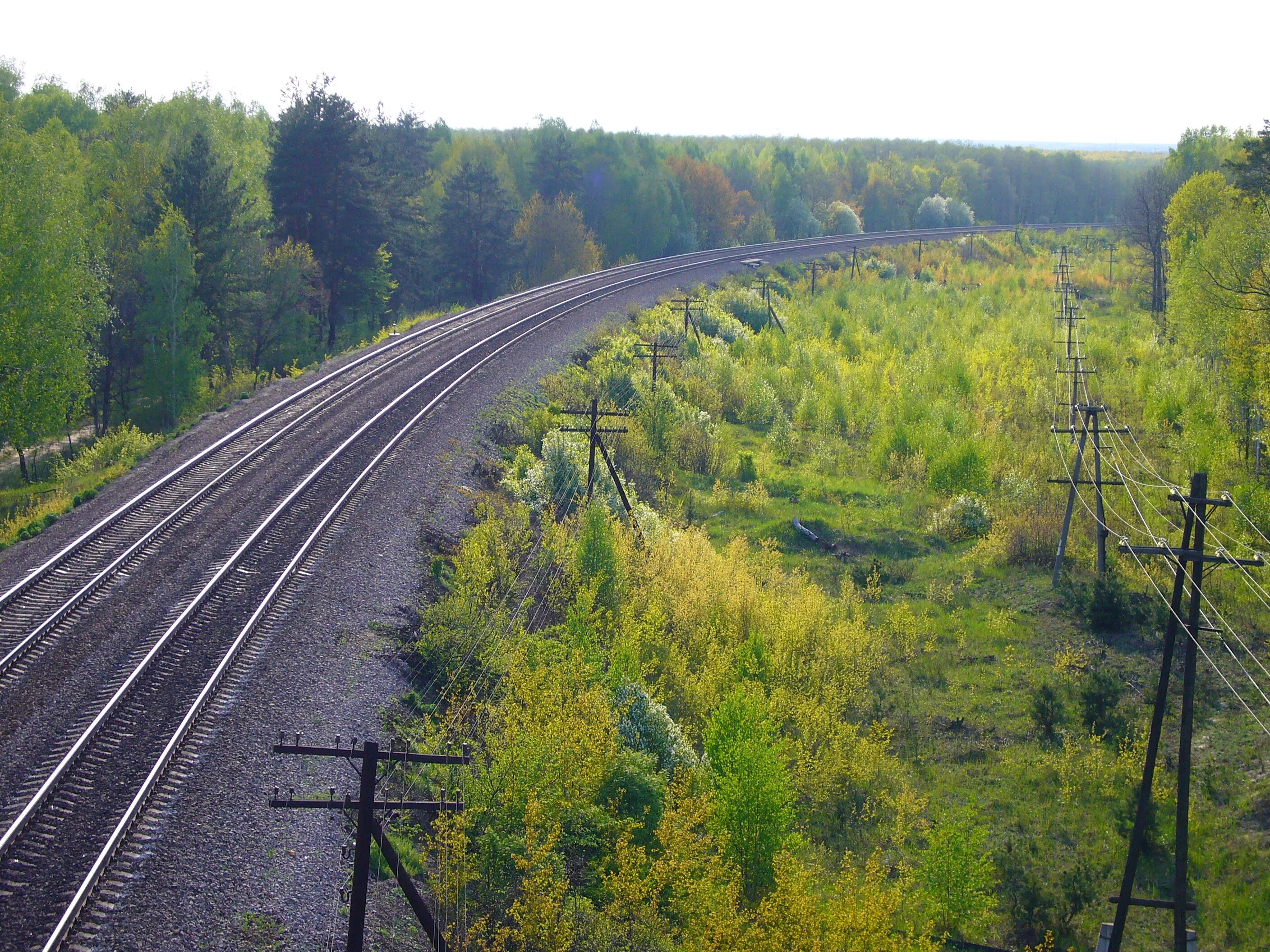 Вдоль жд. Вдоль жд. Электросталь лес вдоль железной дороги. Станция зилай. Вдоль железной дороги.