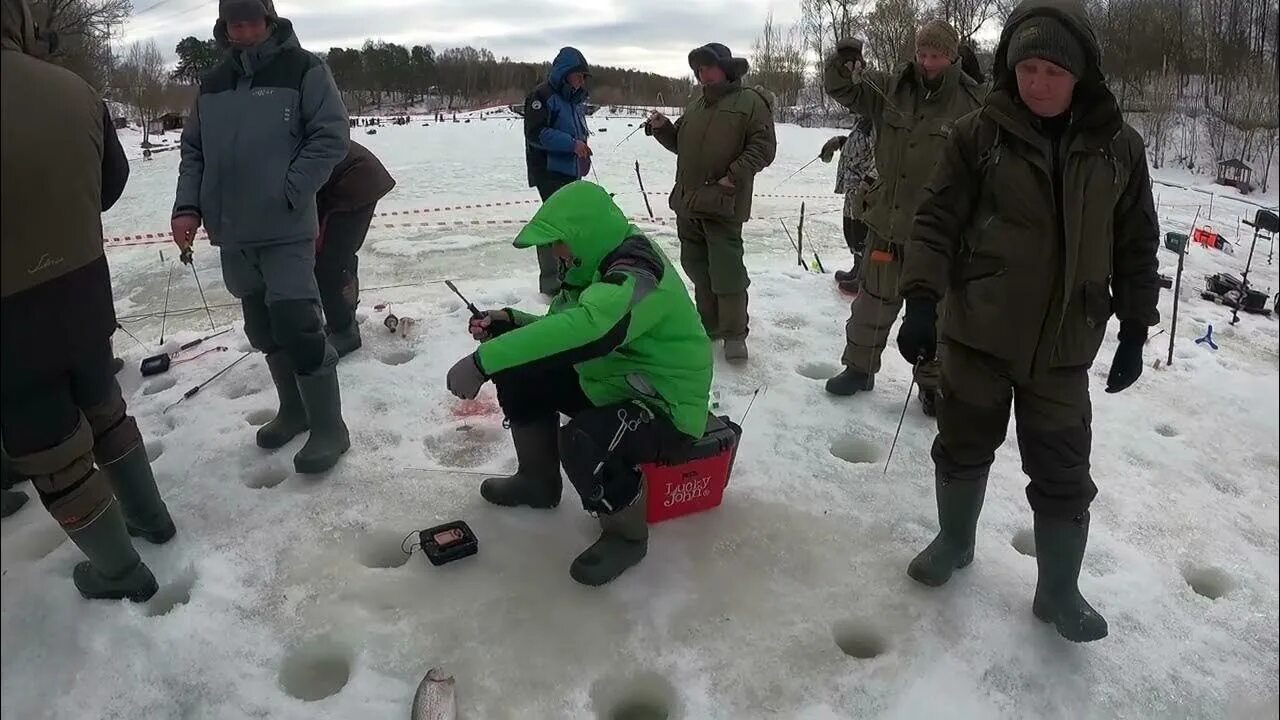 Биг карп красногорск платная рыбалка форум русфишинг. Рыбалка Красногорск форель. Платная рыбалка в Красногорске. Форелевые платники в Красногорске. Биг Карп Красногорск.