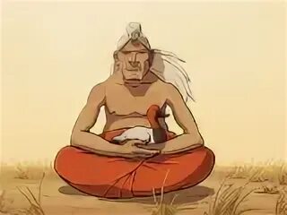 четыре души койота 2023