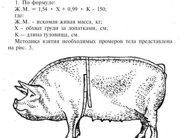 Таблица измерения веса свиней. Таблица определения живого веса свиней. Таблица измерения веса вьетнамских поросят. Таблица измерения поросят живым весом.