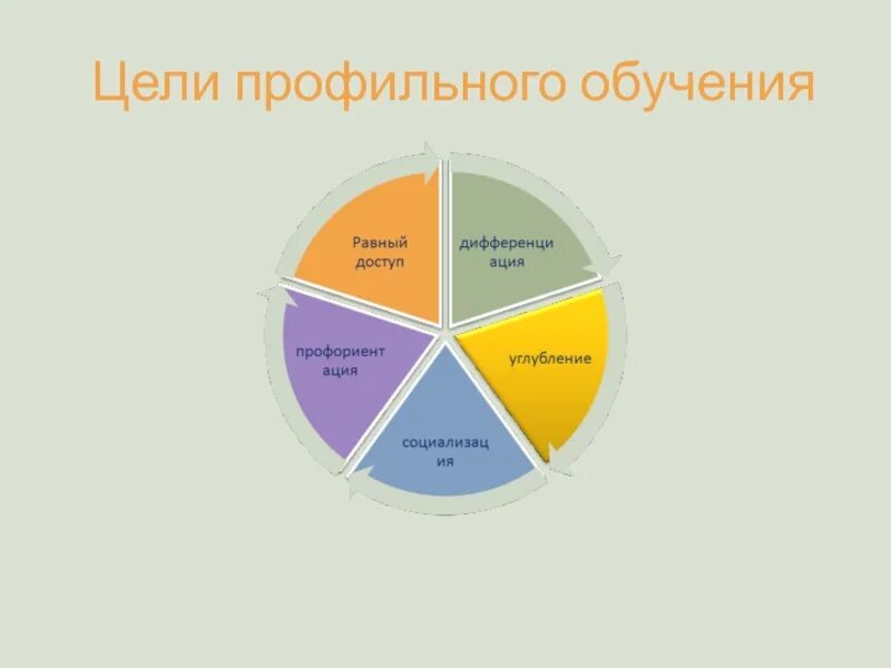 Профильное обучение 2023. Цели профильного обучения. Профильное обучение картинки. История профильное обучение. Соцэконом класс.