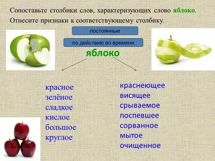 Яблоко сложное или простое