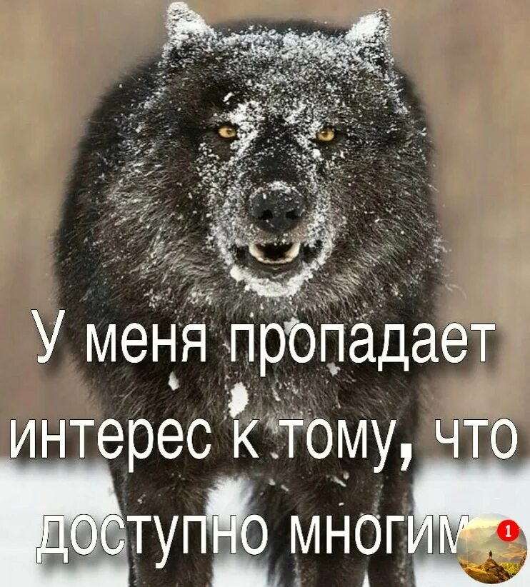 Не интересуют интересы
