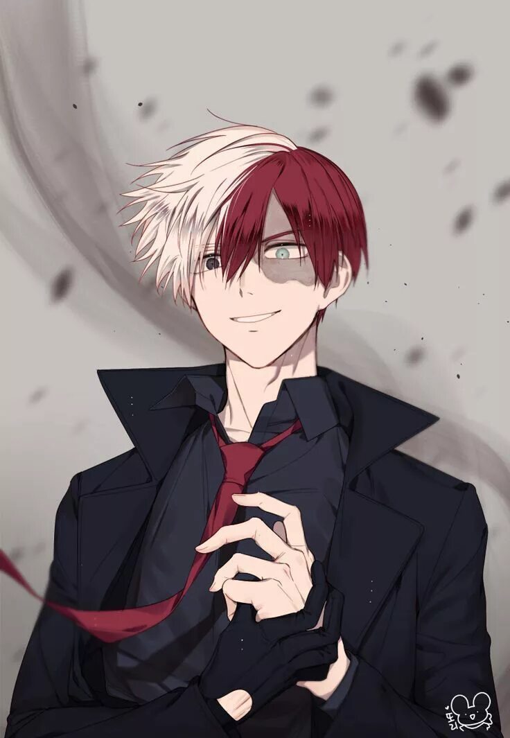 Todoroki reader