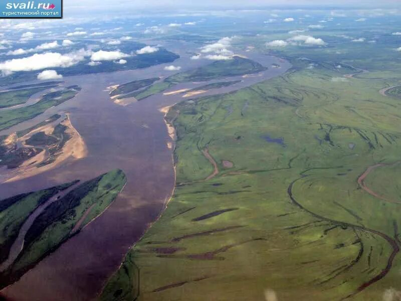 Река Амур. Реки России Амур. Река Амур фото. Слияние Шилки и Аргуни. What is the longest river in russia