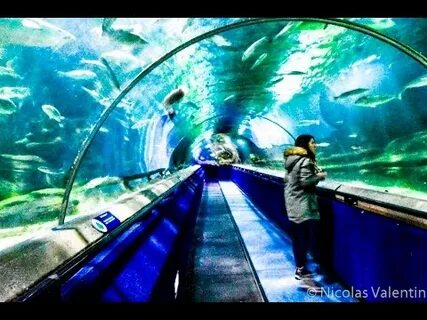 Deep sea world